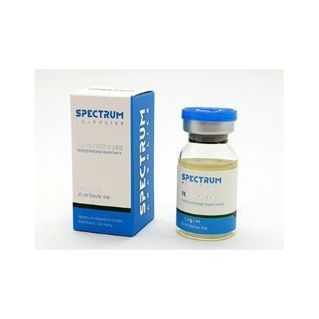 Testospec E 250 Testosterone Enanthate Spectrum Anabolics